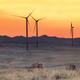 Illustration for article titled Solar and Wind Could Be the Dominant Source of Power in the US by 2030